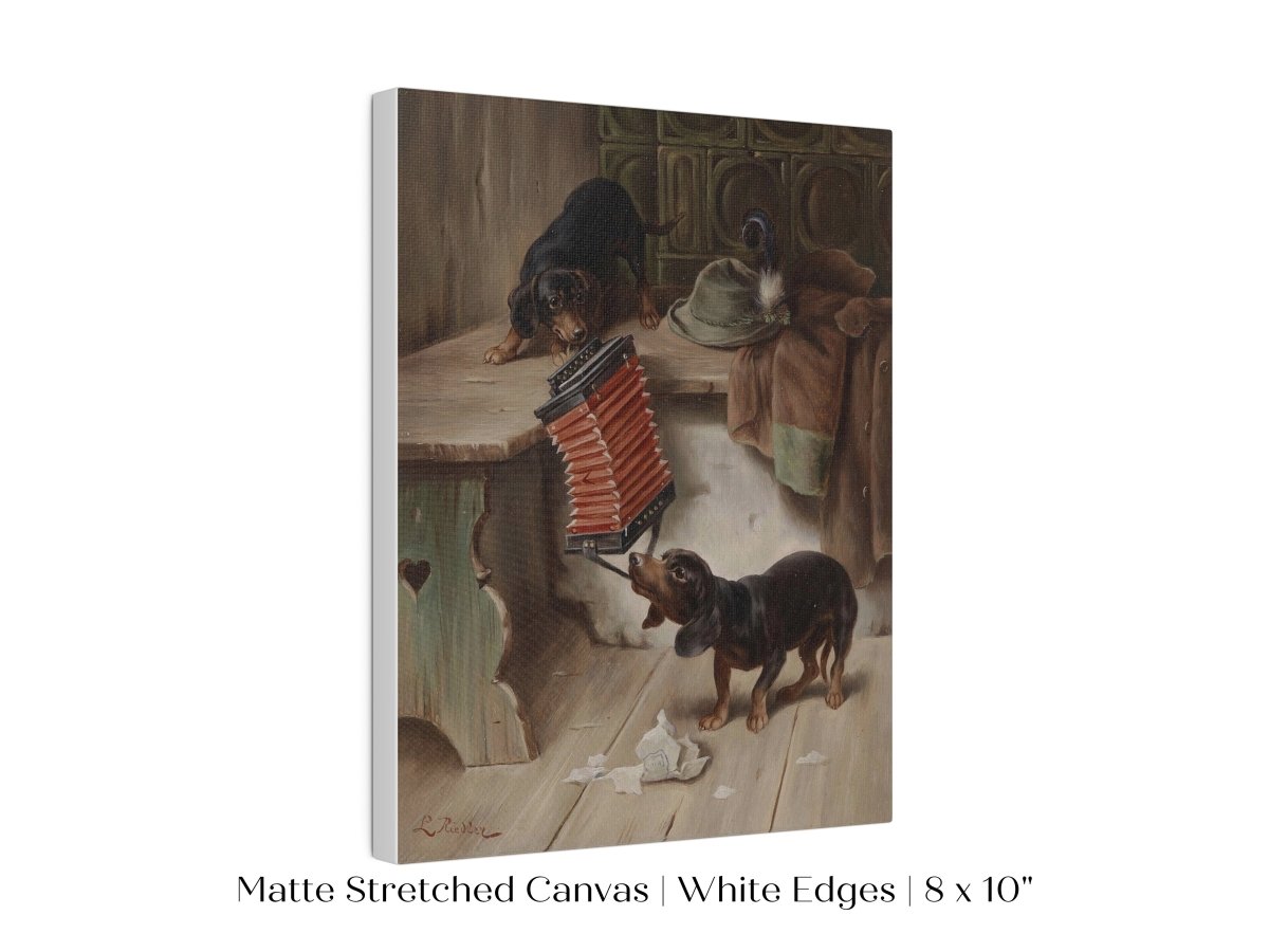 Dachshunds and Concertina | P415 - Single Art Prints - Piccolo Fiore Prints