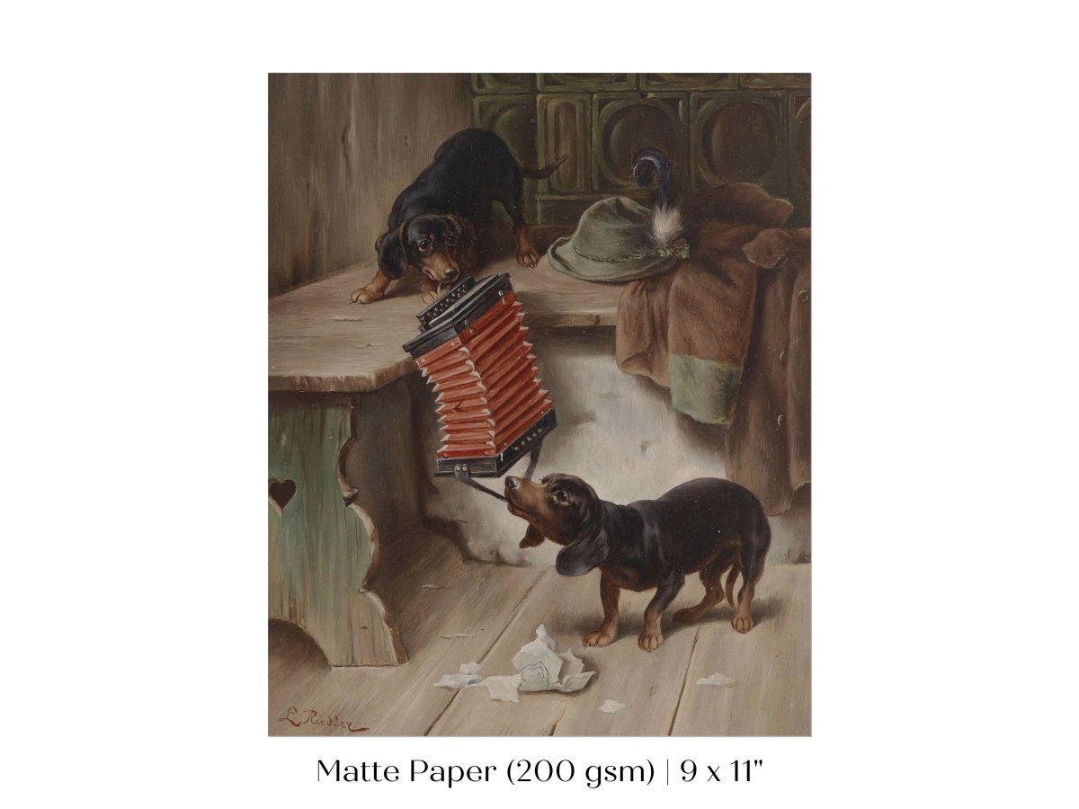 Dachshunds and Concertina | P415 - Single Art Prints - Piccolo Fiore Prints