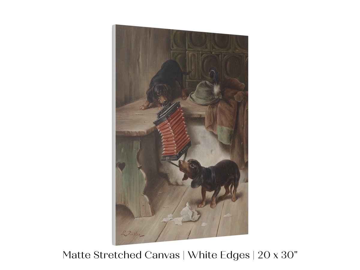 Dachshunds and Concertina | P415 - Single Art Prints - Piccolo Fiore Prints