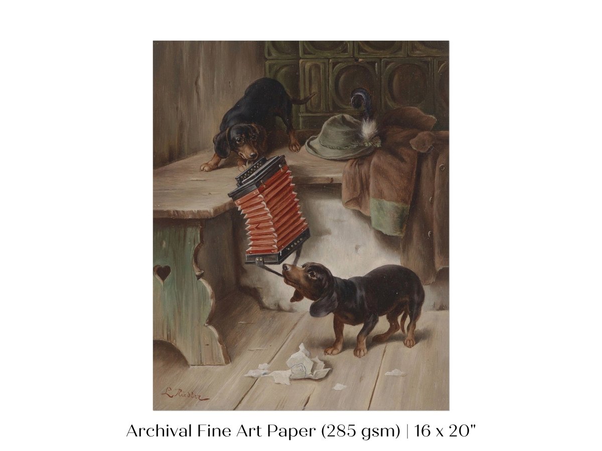 Dachshunds and Concertina | P415 - Single Art Prints - Piccolo Fiore Prints