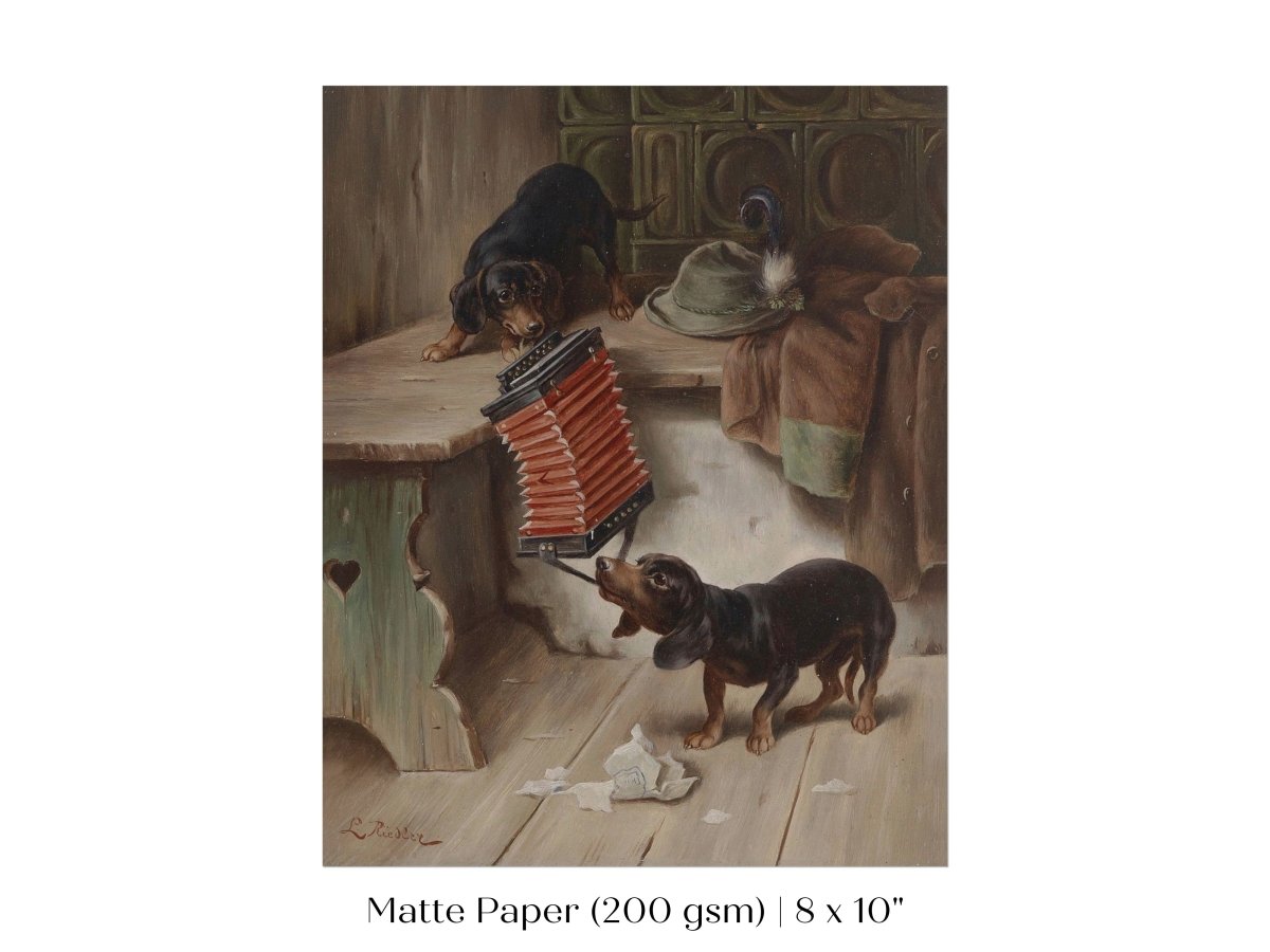 Dachshunds and Concertina | P415 - Single Art Prints - Piccolo Fiore Prints