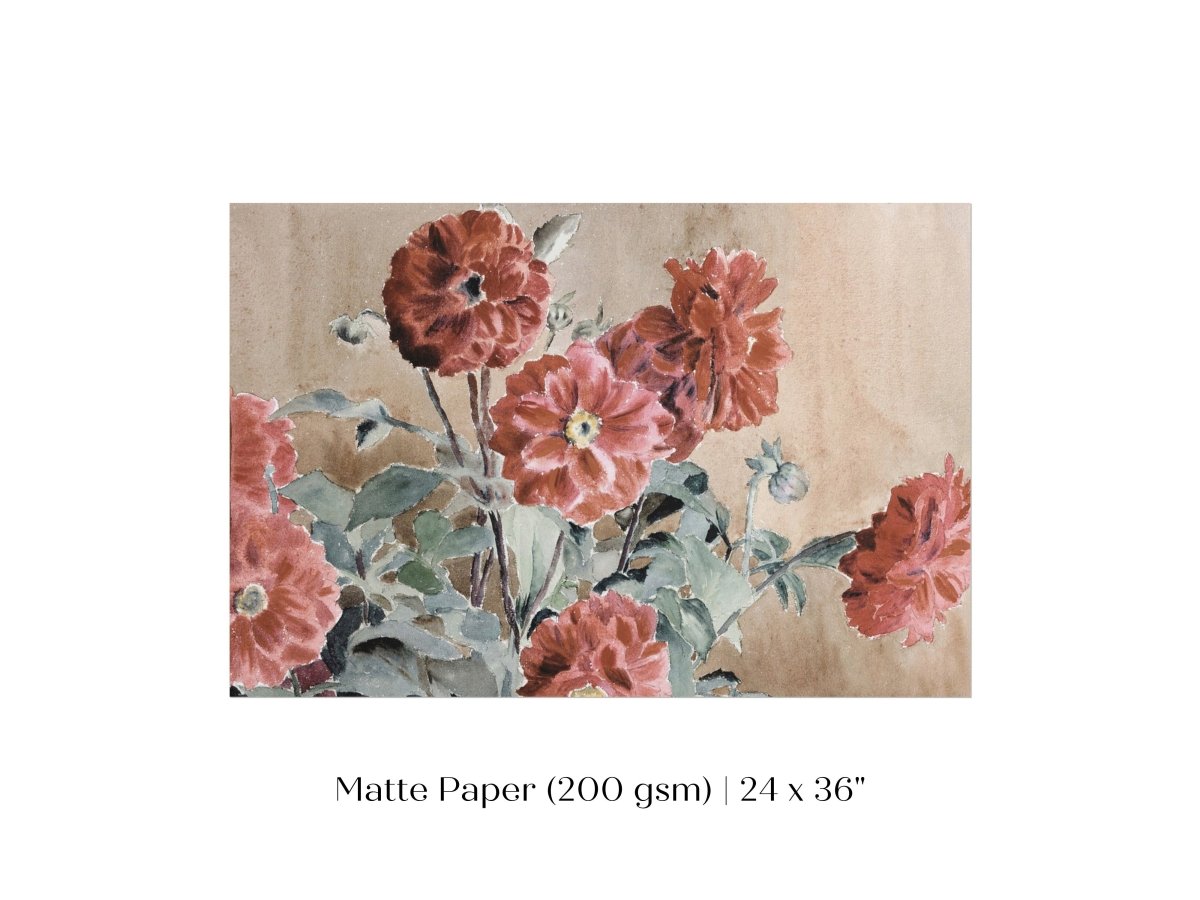 Dahlias | P390 - Single Art Prints - Piccolo Fiore Prints