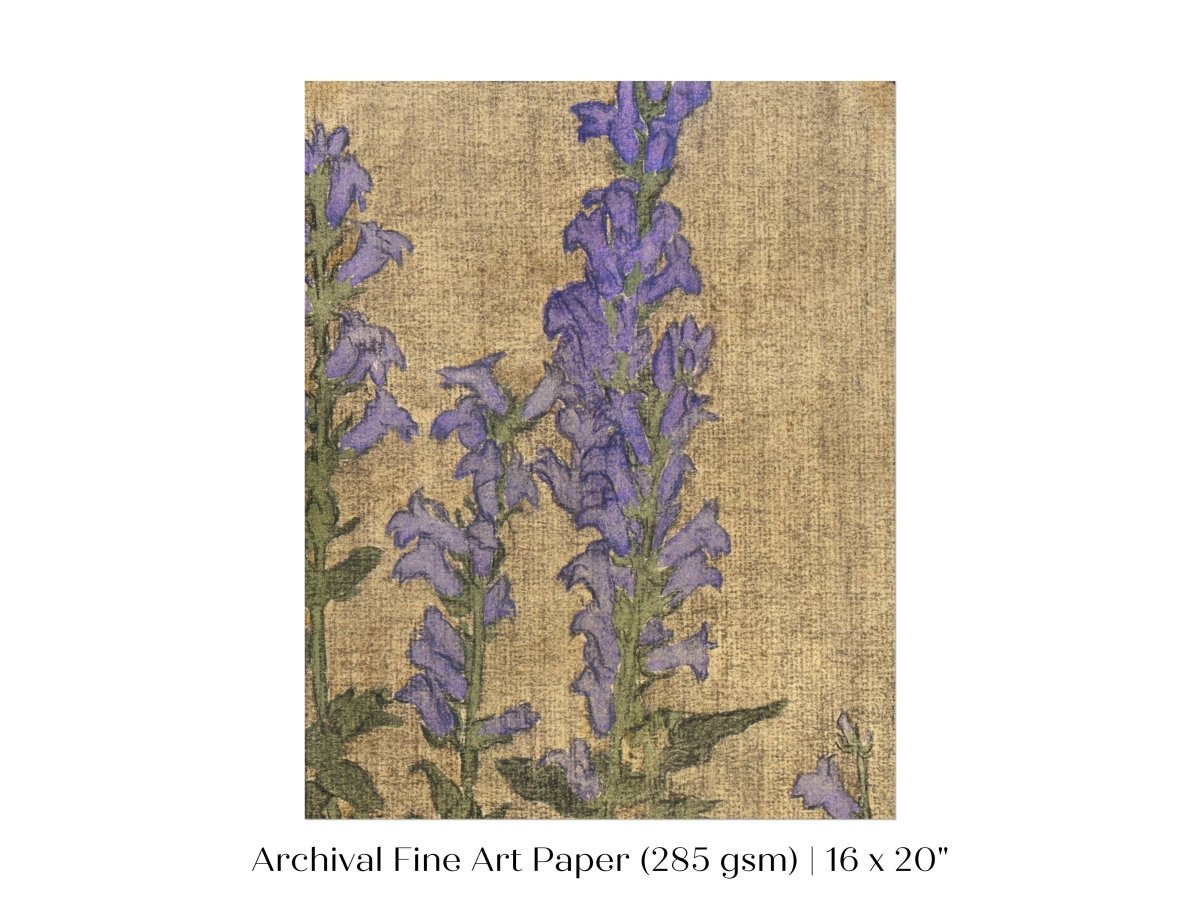 Delphinium | P276 - Single Art Prints - Piccolo Fiore Prints