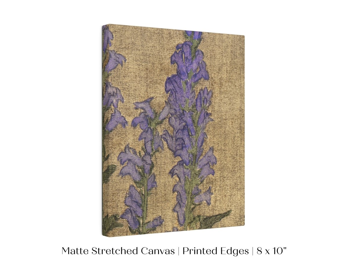 Delphinium | P276 - Single Art Prints - Piccolo Fiore Prints