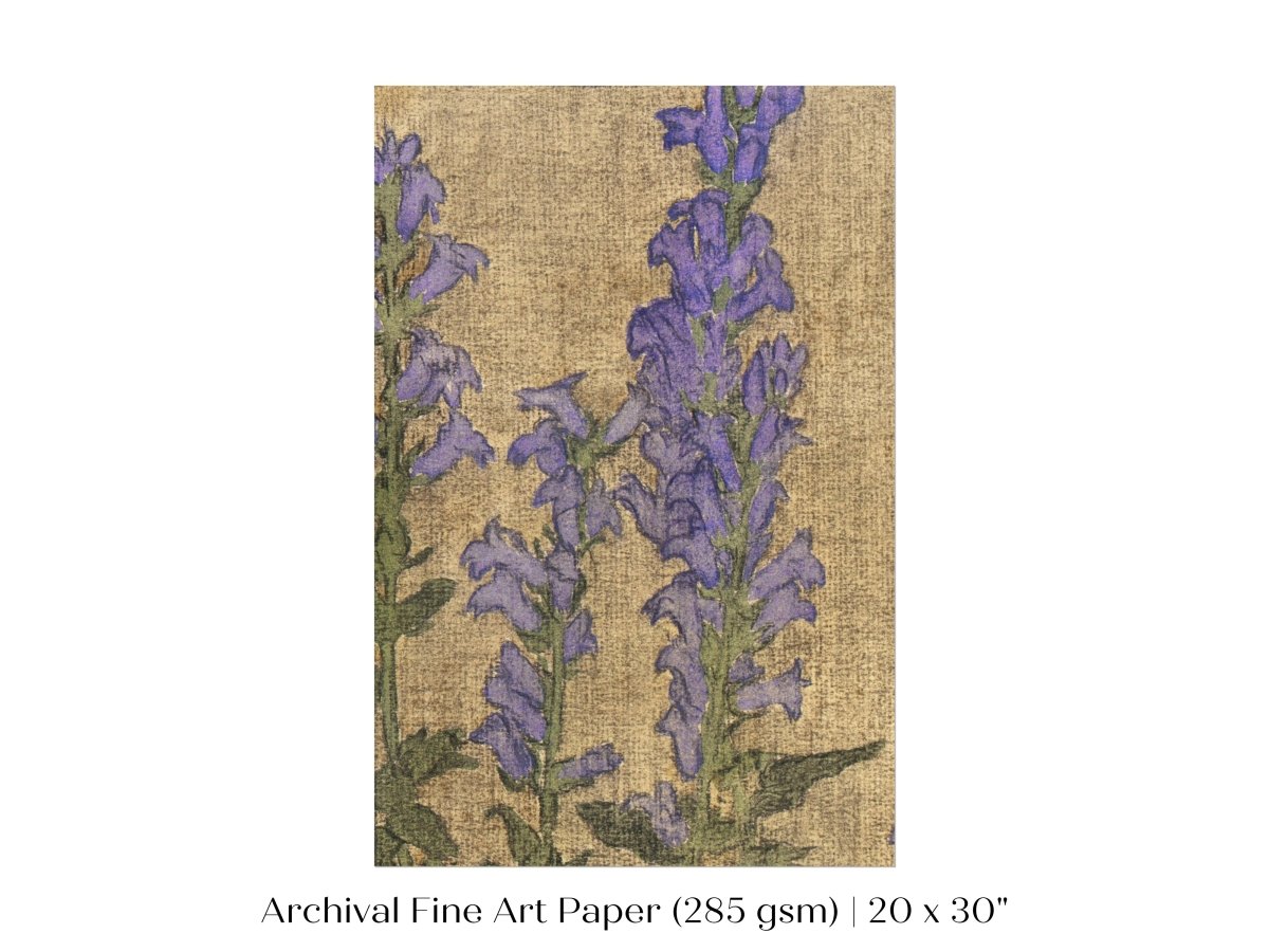 Delphinium | P276 - Single Art Prints - Piccolo Fiore Prints