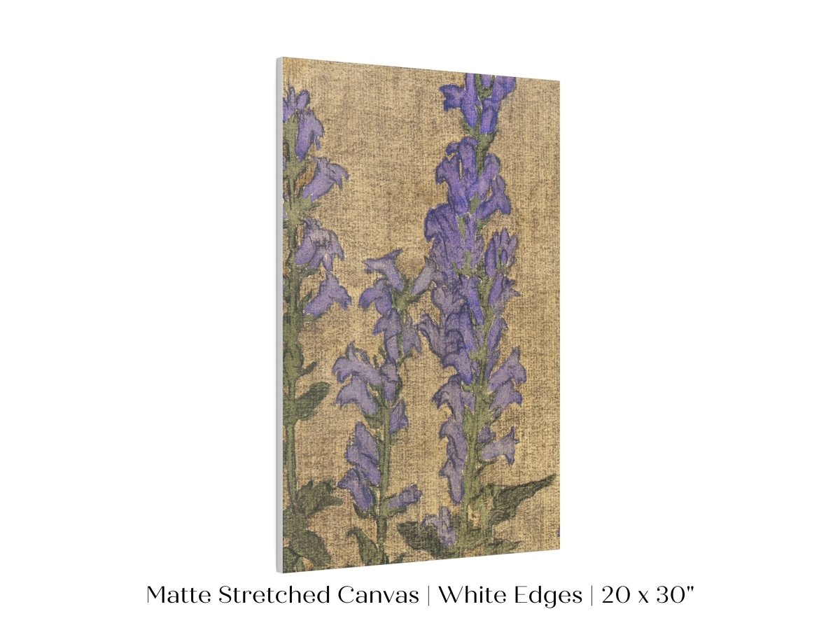 Delphinium | P276 - Single Art Prints - Piccolo Fiore Prints