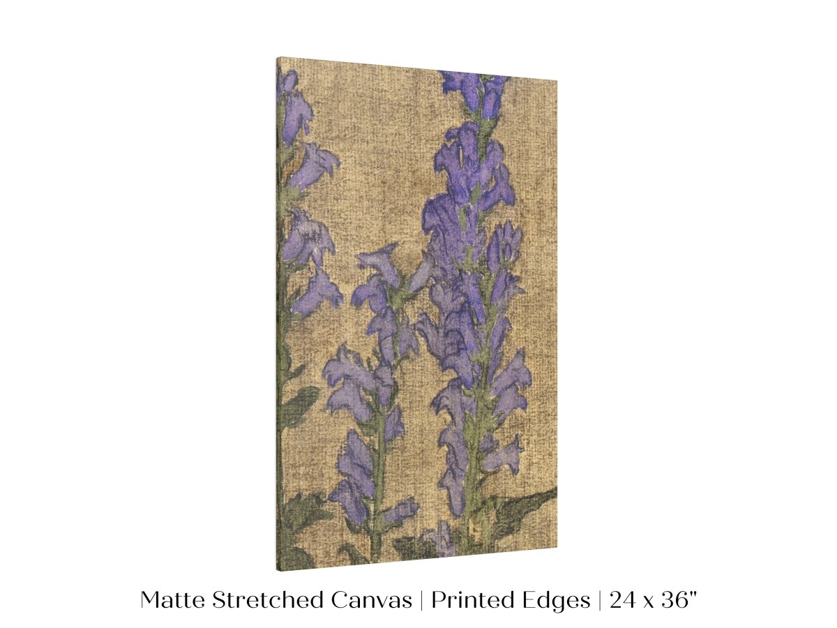 Delphinium | P276 - Single Art Prints - Piccolo Fiore Prints