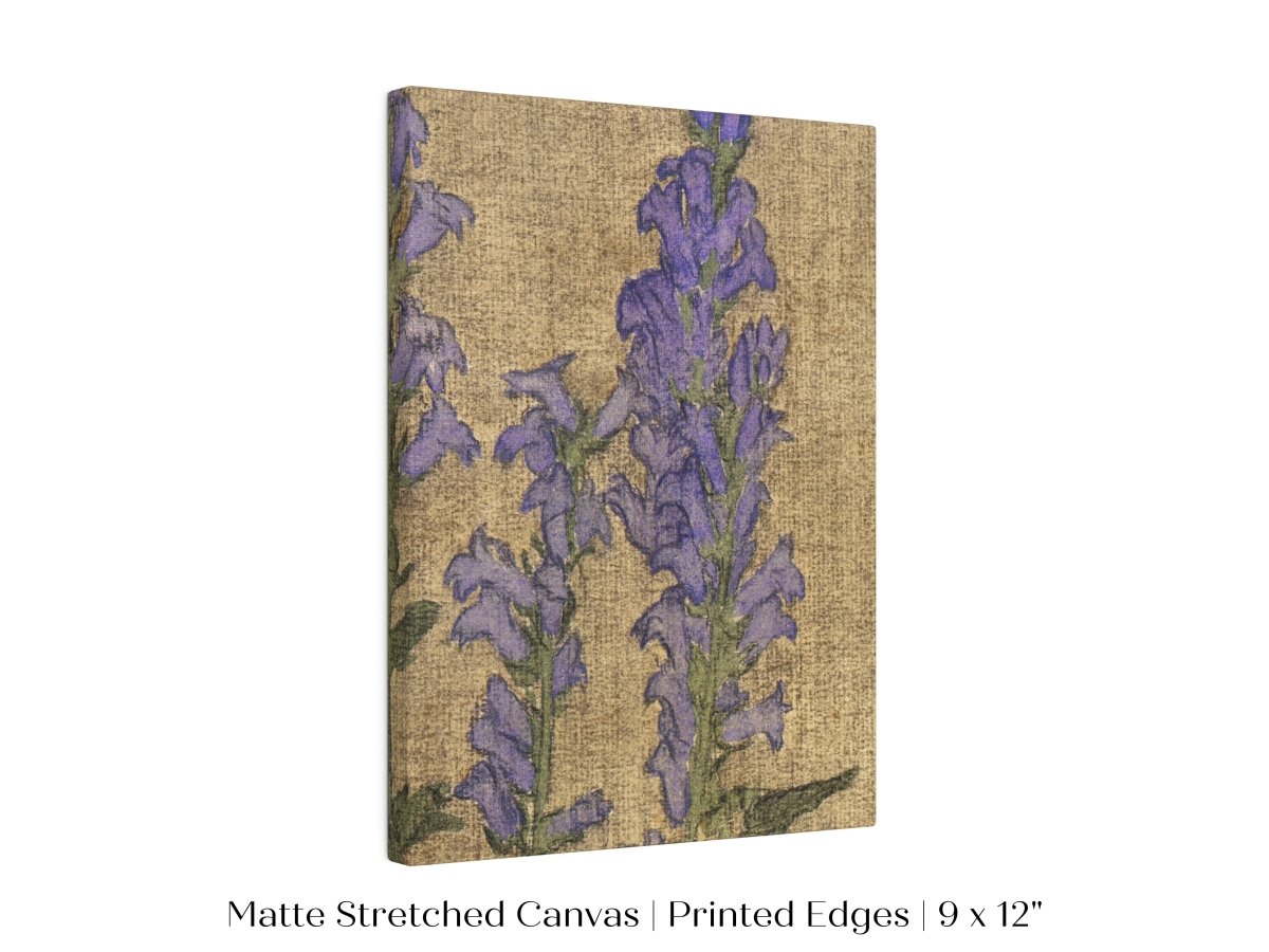Delphinium | P276 - Single Art Prints - Piccolo Fiore Prints