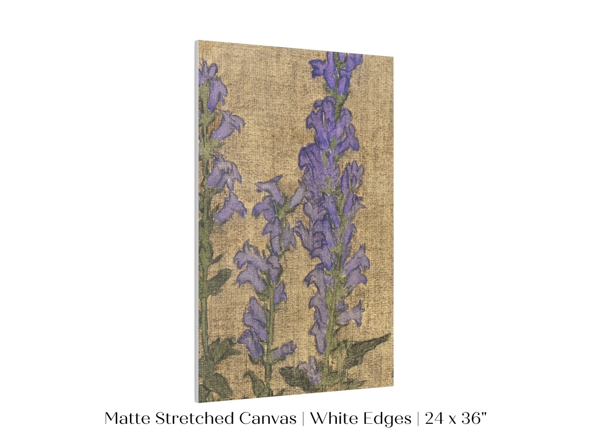 Delphinium | P276 - Single Art Prints - Piccolo Fiore Prints