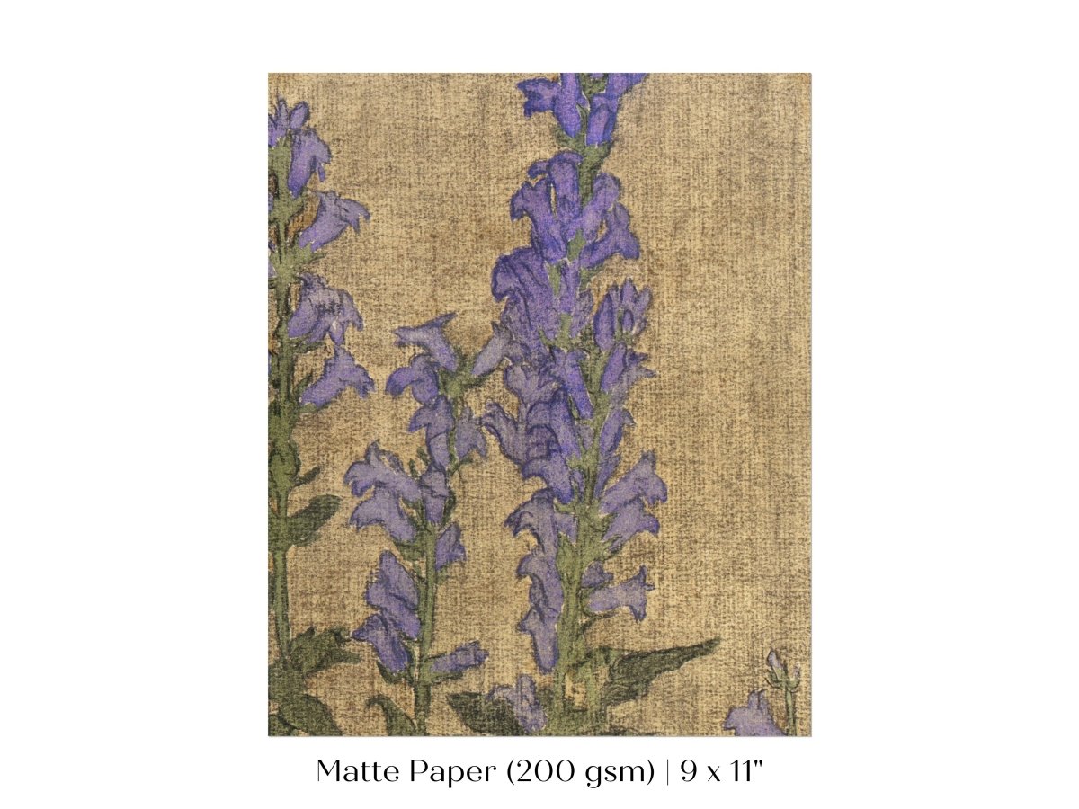 Delphinium | P276 - Single Art Prints - Piccolo Fiore Prints