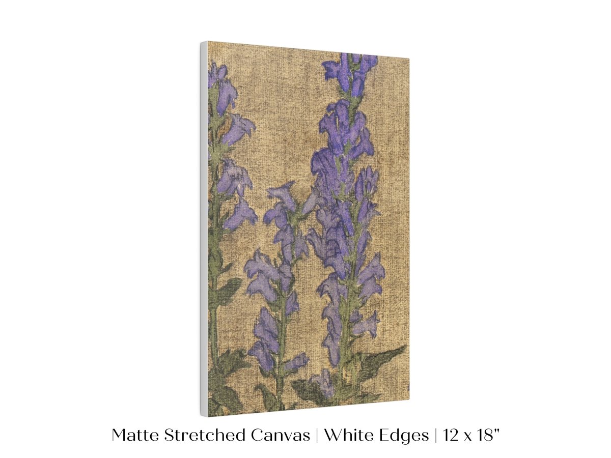 Delphinium | P276 - Single Art Prints - Piccolo Fiore Prints