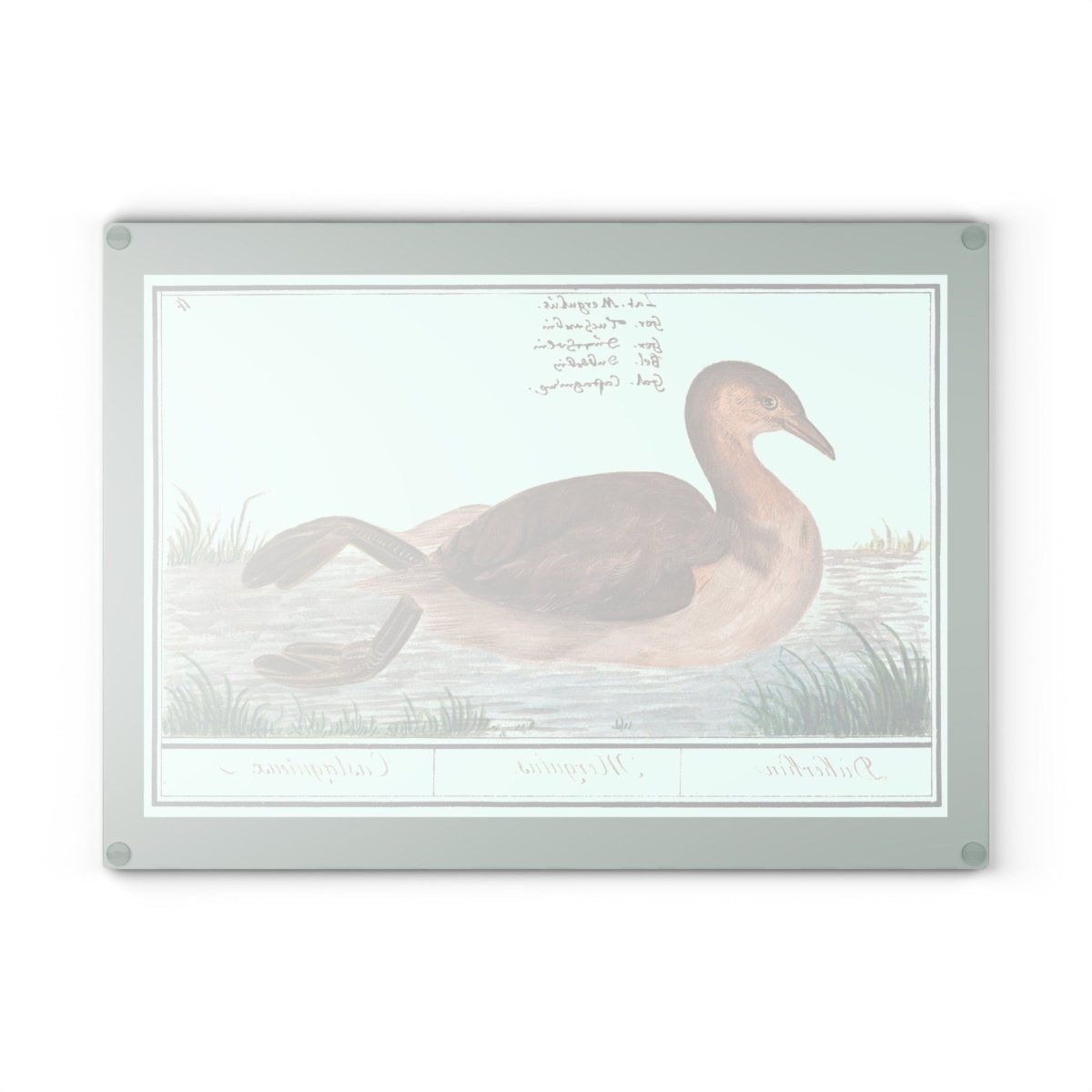 Duck | Glass Chopping Board - Glass Chopping Board - Piccolo Fiore Prints