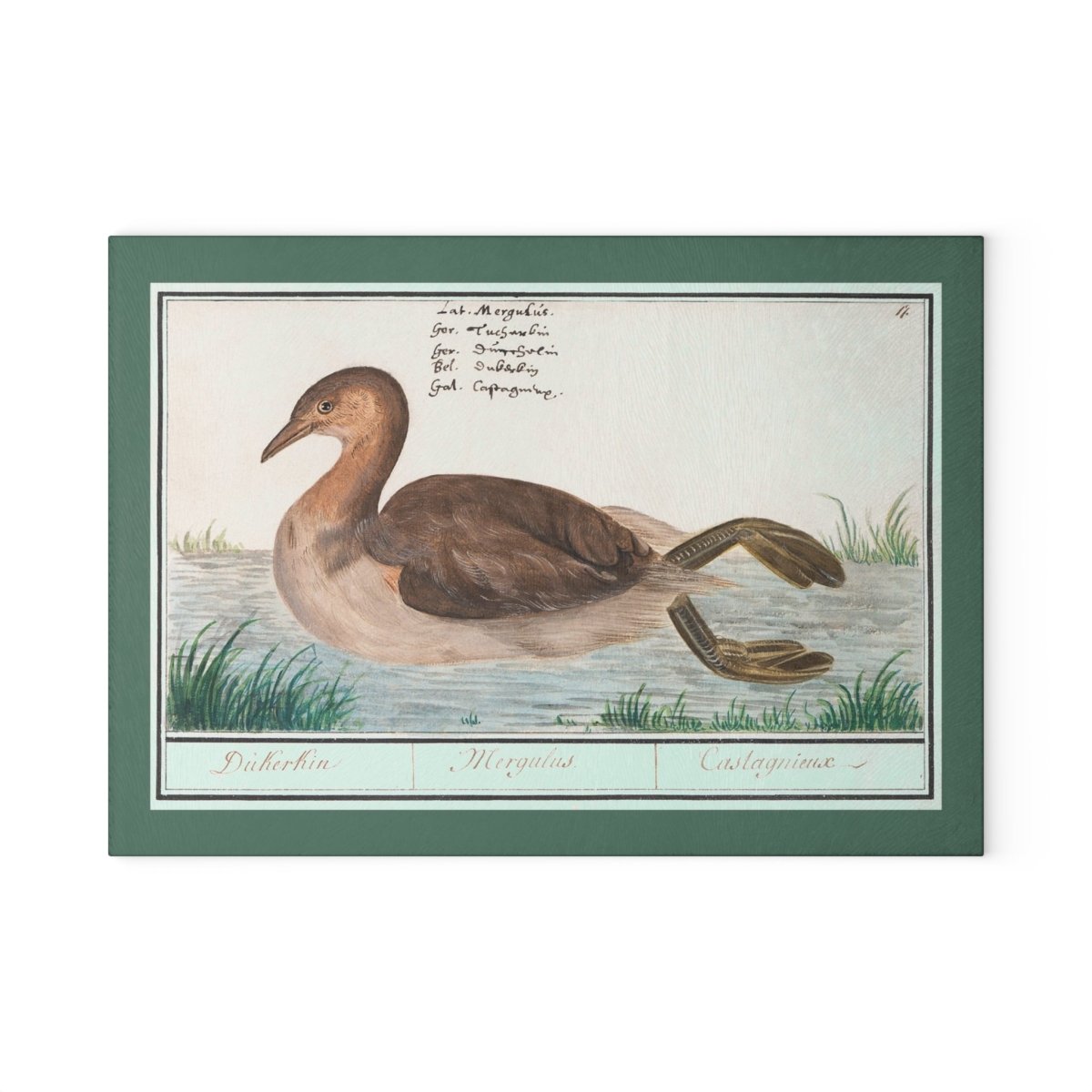 Duck | Glass Chopping Board - Glass Chopping Board - Piccolo Fiore Prints