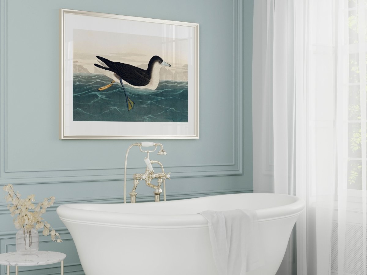 Dusky Petrel | P62 - Single Art Prints - Piccolo Fiore Prints