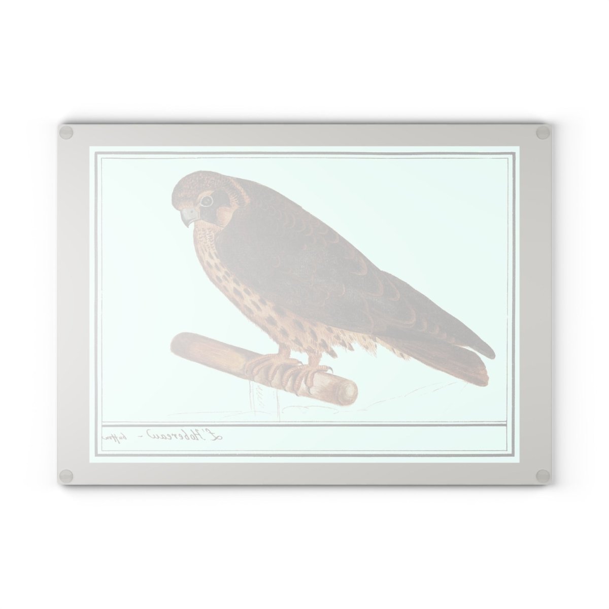 Falcon | Glass Chopping Board - Glass Chopping Board - Piccolo Fiore Prints
