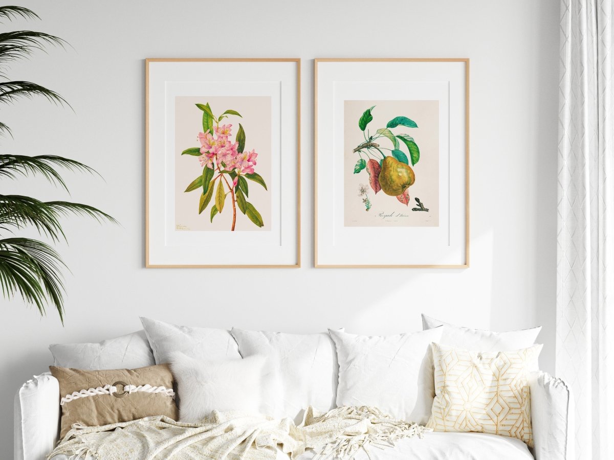 Flowers and Fruit | Gallery Wall Set | 2 Prints | S12 - 1.2 - Gallery Wall Set - Piccolo Fiore Prints