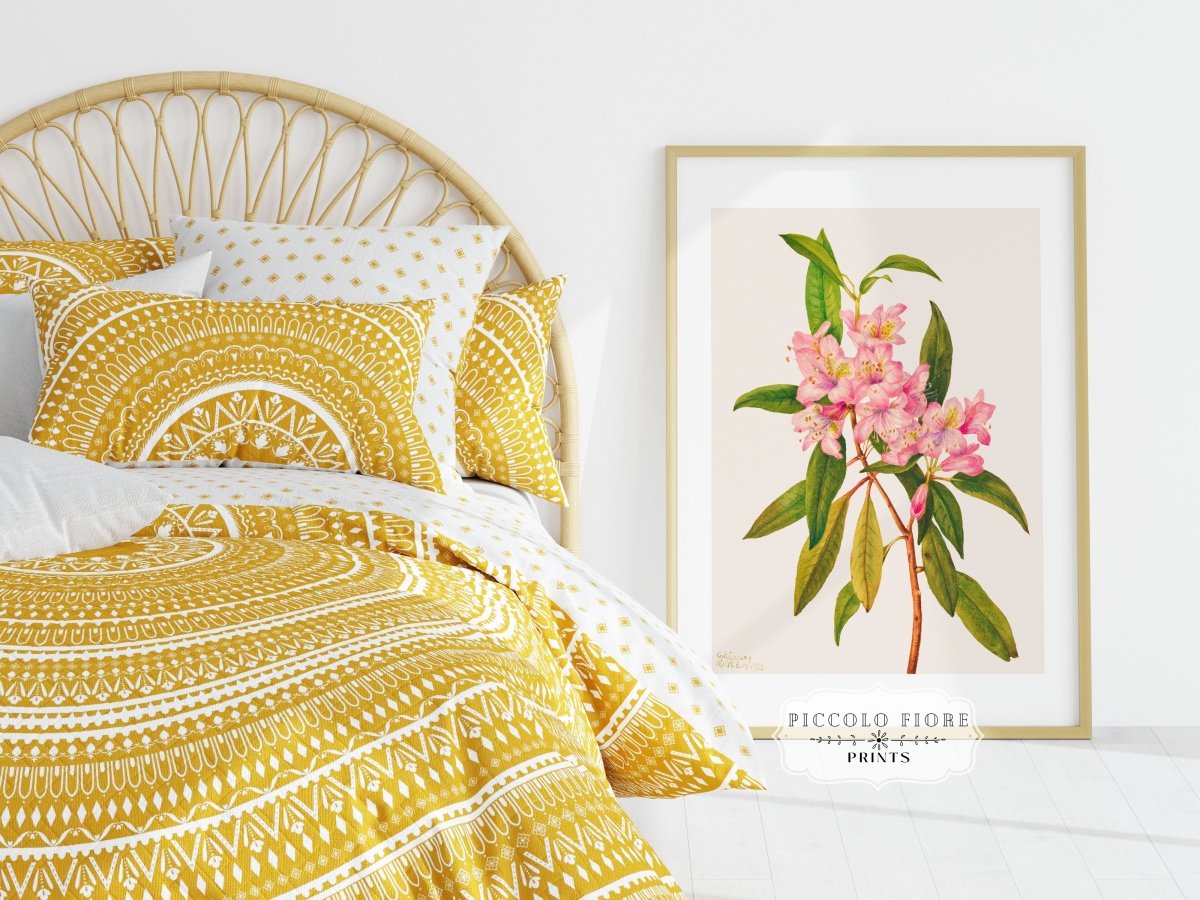 Flowers and Fruit | Gallery Wall Set | 2 Prints | S12 - 1.2 - Gallery Wall Set - Piccolo Fiore Prints