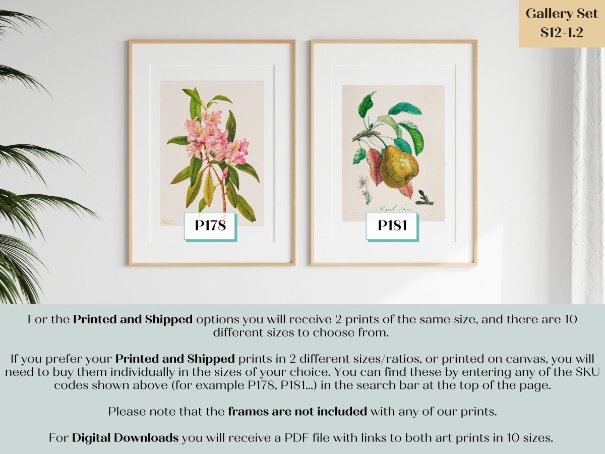 Flowers and Fruit | Gallery Wall Set | 2 Prints | S12 - 1.2 - Gallery Wall Set - Piccolo Fiore Prints