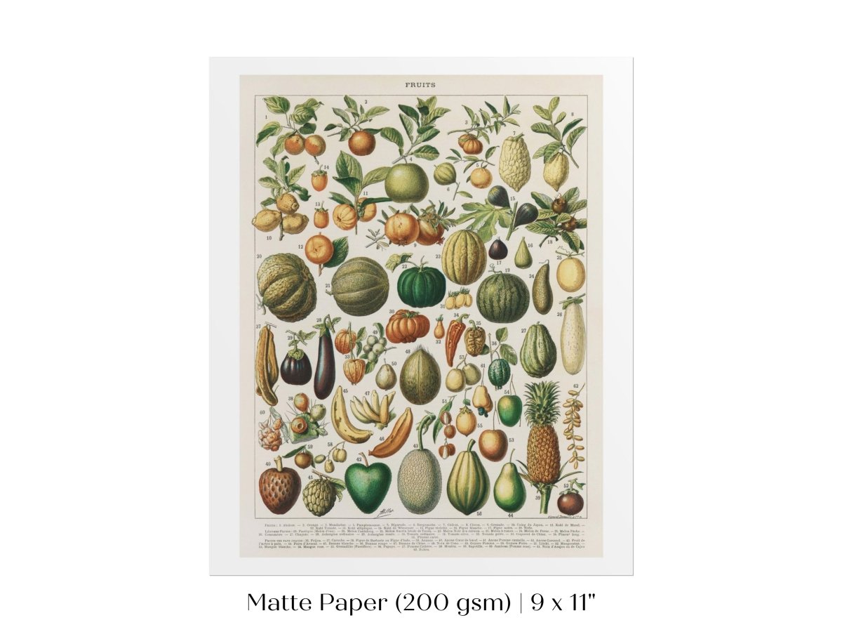 Fruits and Vegetables Chart | P396 - Single Art Prints - Piccolo Fiore Prints