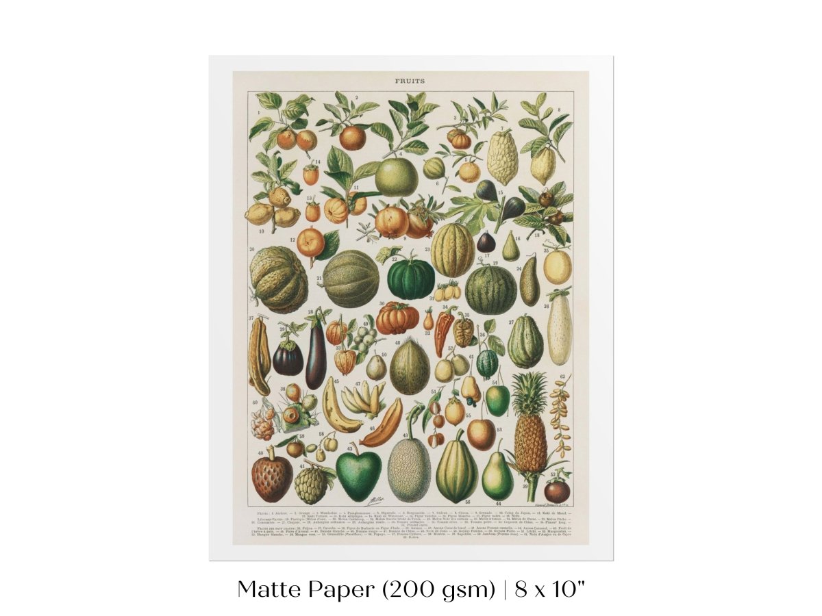 Fruits and Vegetables Chart | P396 - Single Art Prints - Piccolo Fiore Prints