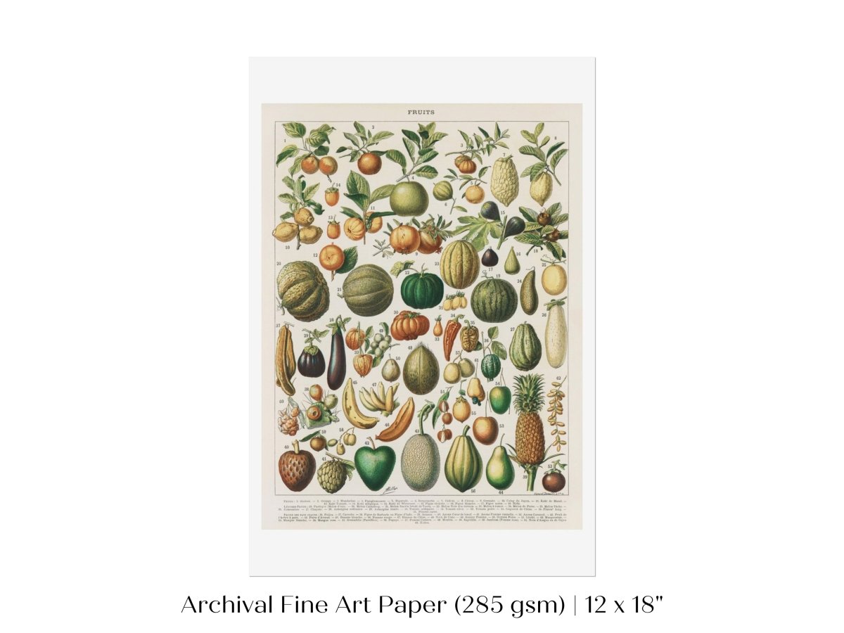 Fruits and Vegetables Chart | P396 - Single Art Prints - Piccolo Fiore Prints