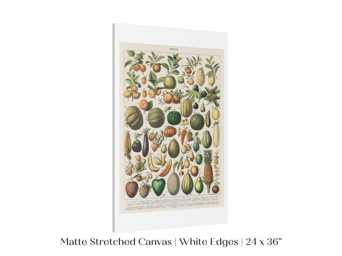 Fruits and Vegetables Chart | P396 - Single Art Prints - Piccolo Fiore Prints