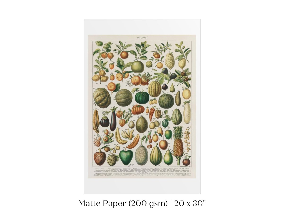 Fruits and Vegetables Chart | P396 - Single Art Prints - Piccolo Fiore Prints