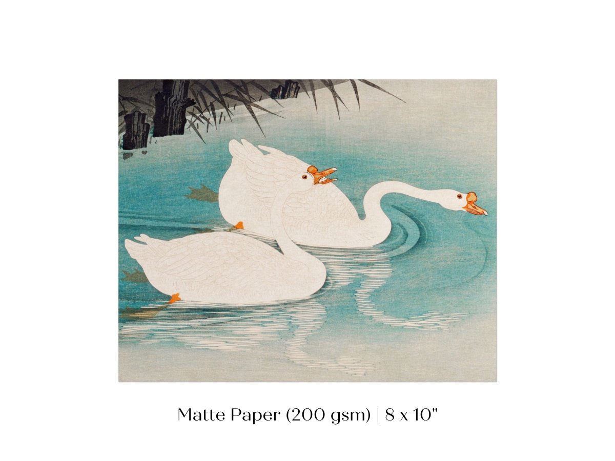 Geese Amid Reeds | Vintage Japanese Art | P353 - Single Art Prints - Piccolo Fiore Prints