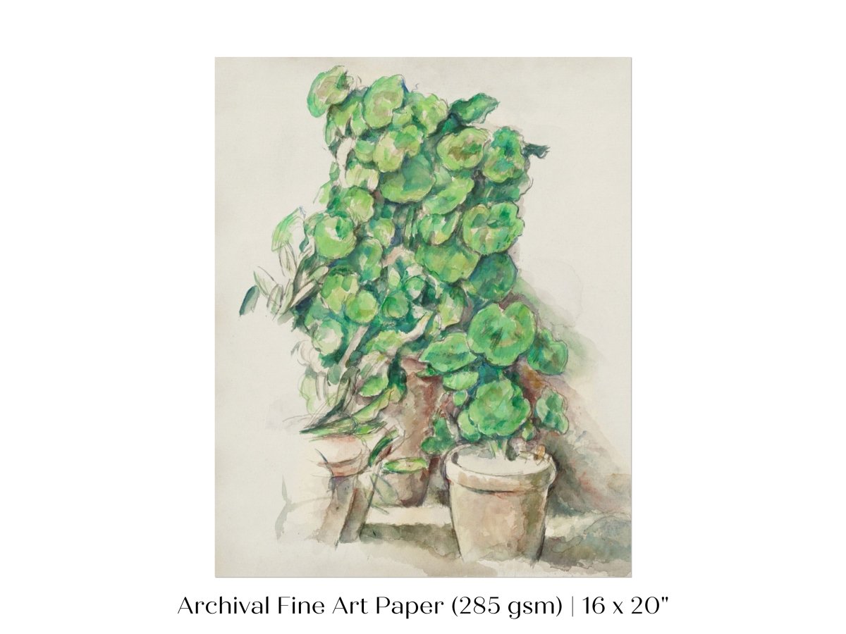 Geraniums | P176 - Single Art Prints - Piccolo Fiore Prints