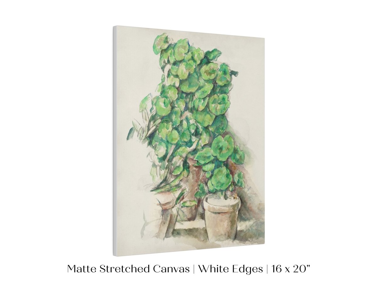 Geraniums | P176 - Single Art Prints - Piccolo Fiore Prints