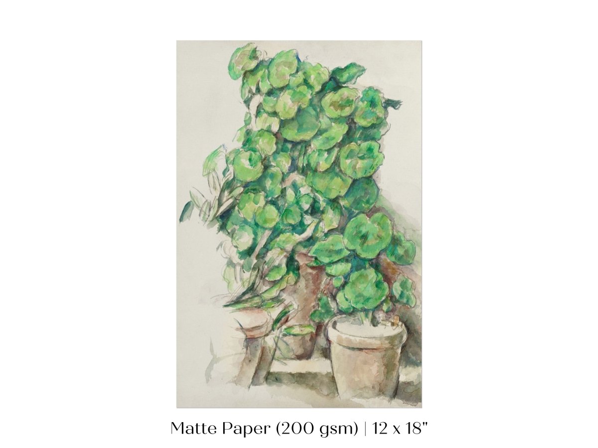 Geraniums | P176 - Single Art Prints - Piccolo Fiore Prints