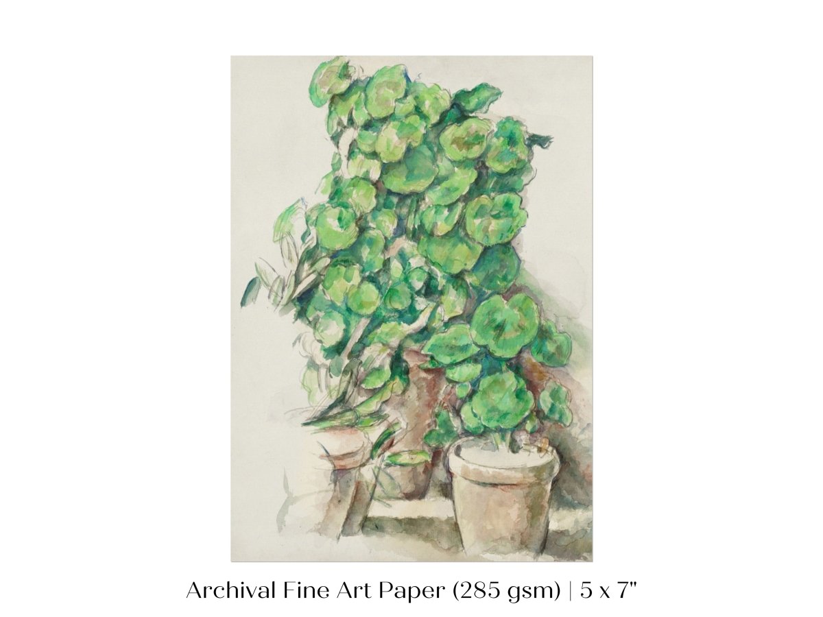 Geraniums | P176 - Single Art Prints - Piccolo Fiore Prints