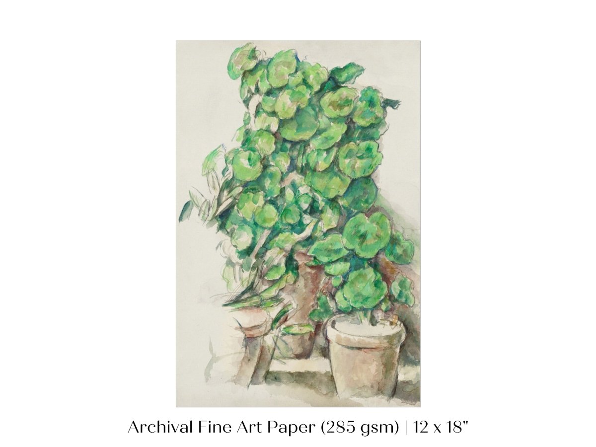 Geraniums | P176 - Single Art Prints - Piccolo Fiore Prints