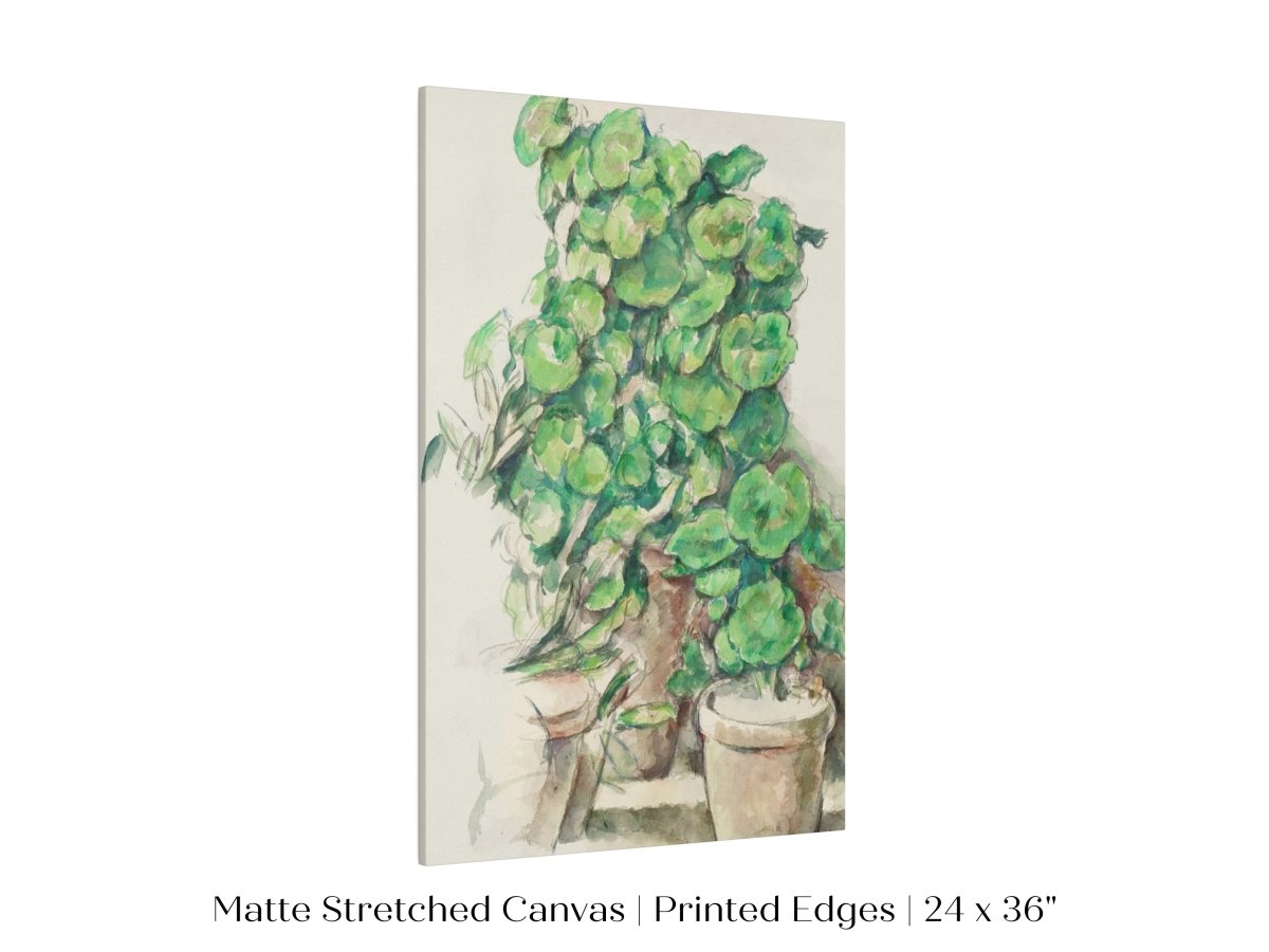 Geraniums | P176 - Single Art Prints - Piccolo Fiore Prints