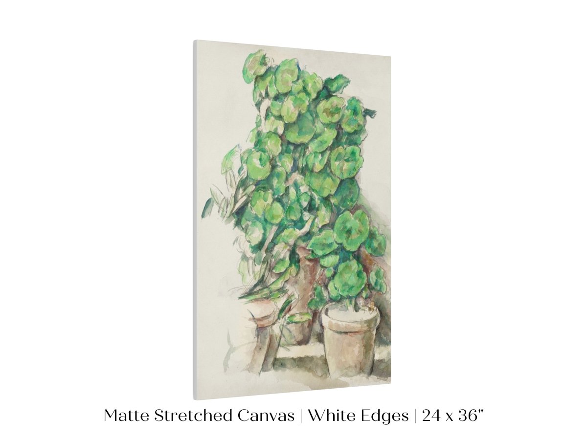 Geraniums | P176 - Single Art Prints - Piccolo Fiore Prints