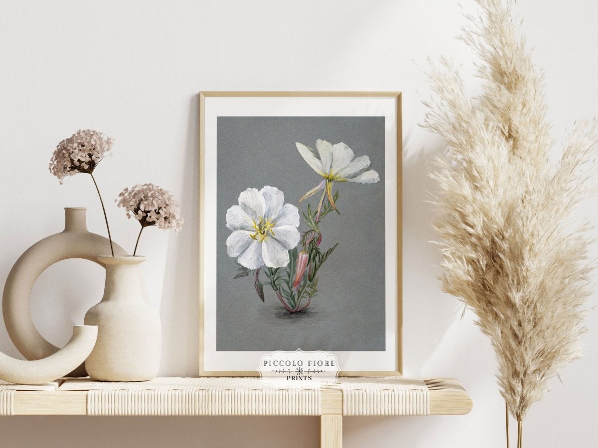 Giant Helleborine | P67 - Single Art Prints - Piccolo Fiore Prints
