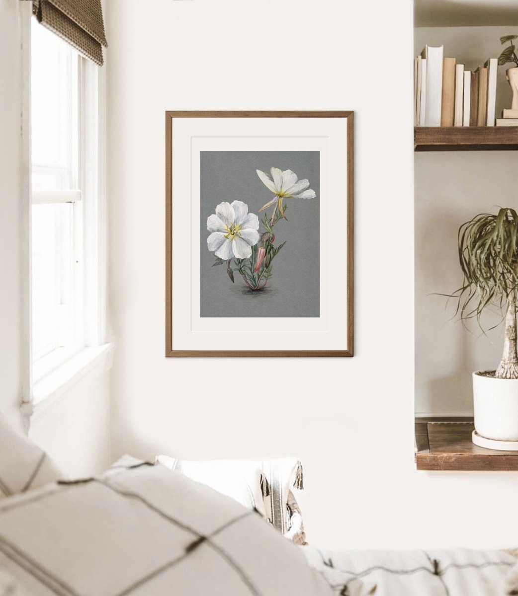 Giant Helleborine | P67 - Single Art Prints - Piccolo Fiore Prints