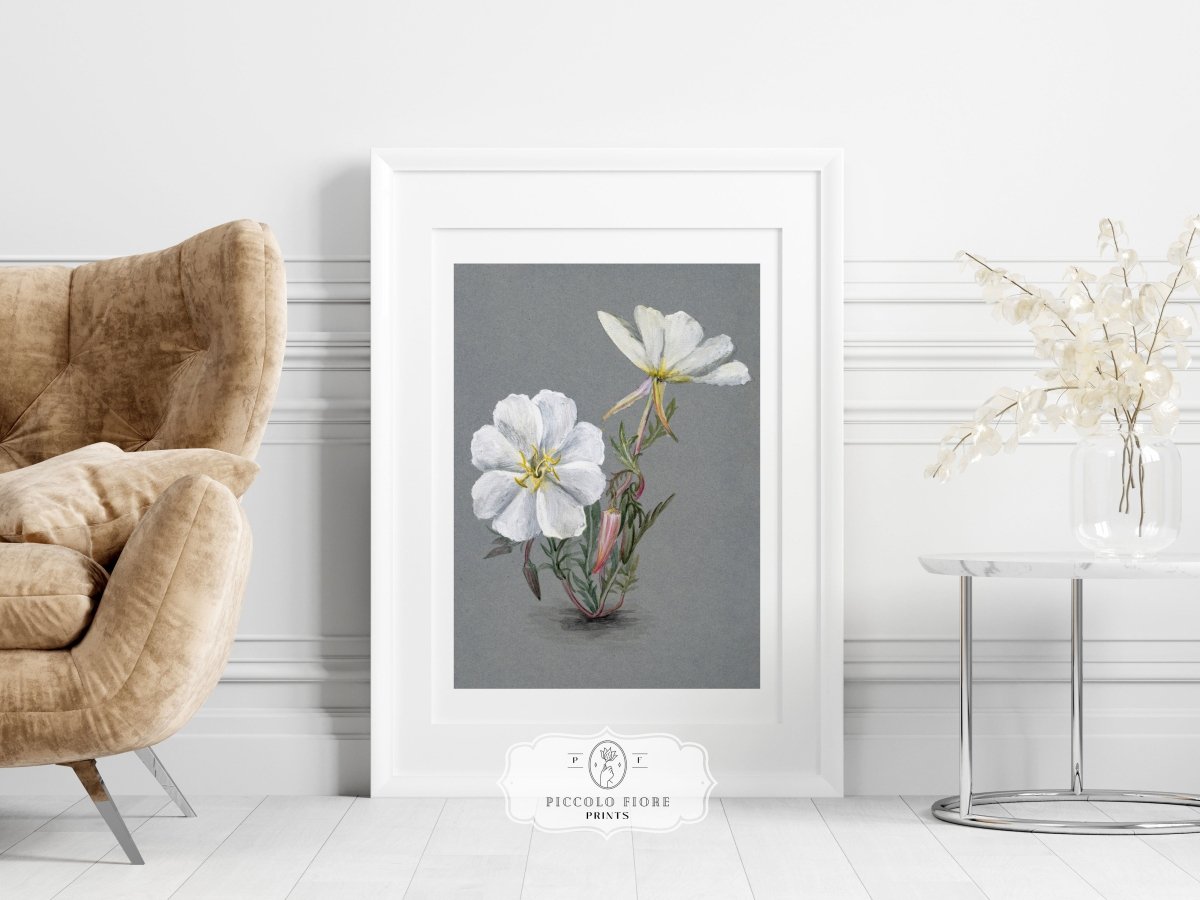Giant Helleborine | P67 - Single Art Prints - Piccolo Fiore Prints