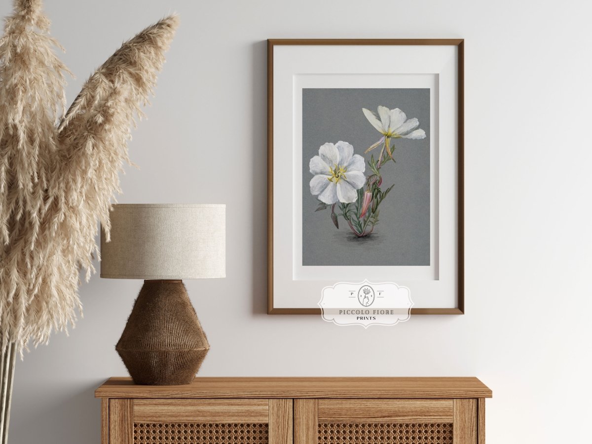 Giant Helleborine | P67 - Single Art Prints - Piccolo Fiore Prints