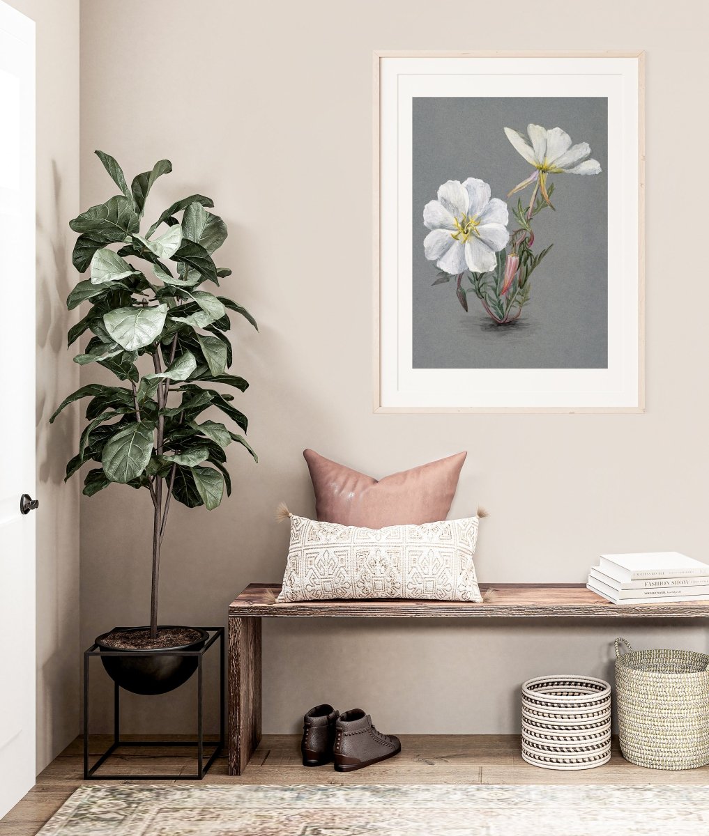 Giant Helleborine | P67 - Single Art Prints - Piccolo Fiore Prints