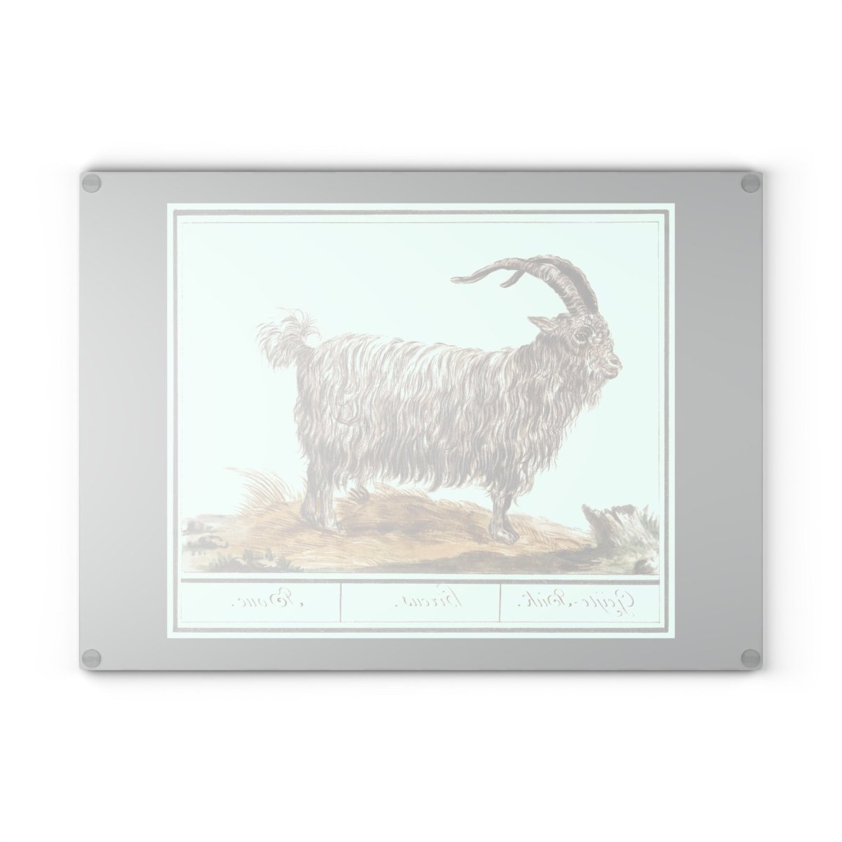 Goat | Glass Chopping Board - Glass Chopping Board - Piccolo Fiore Prints