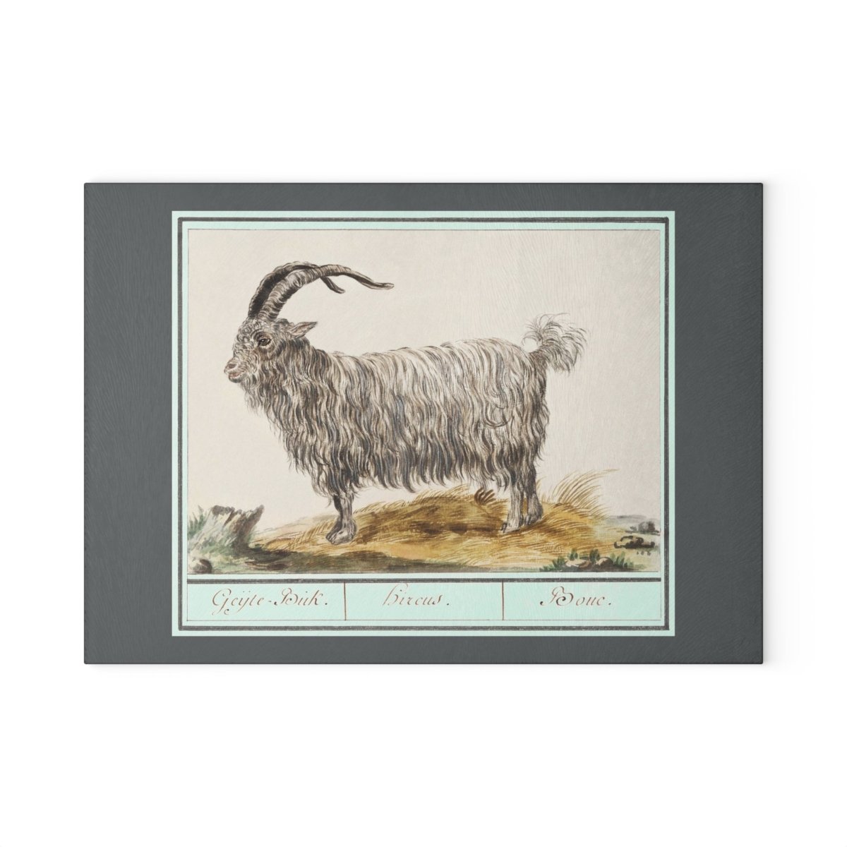 Goat | Glass Chopping Board - Glass Chopping Board - Piccolo Fiore Prints