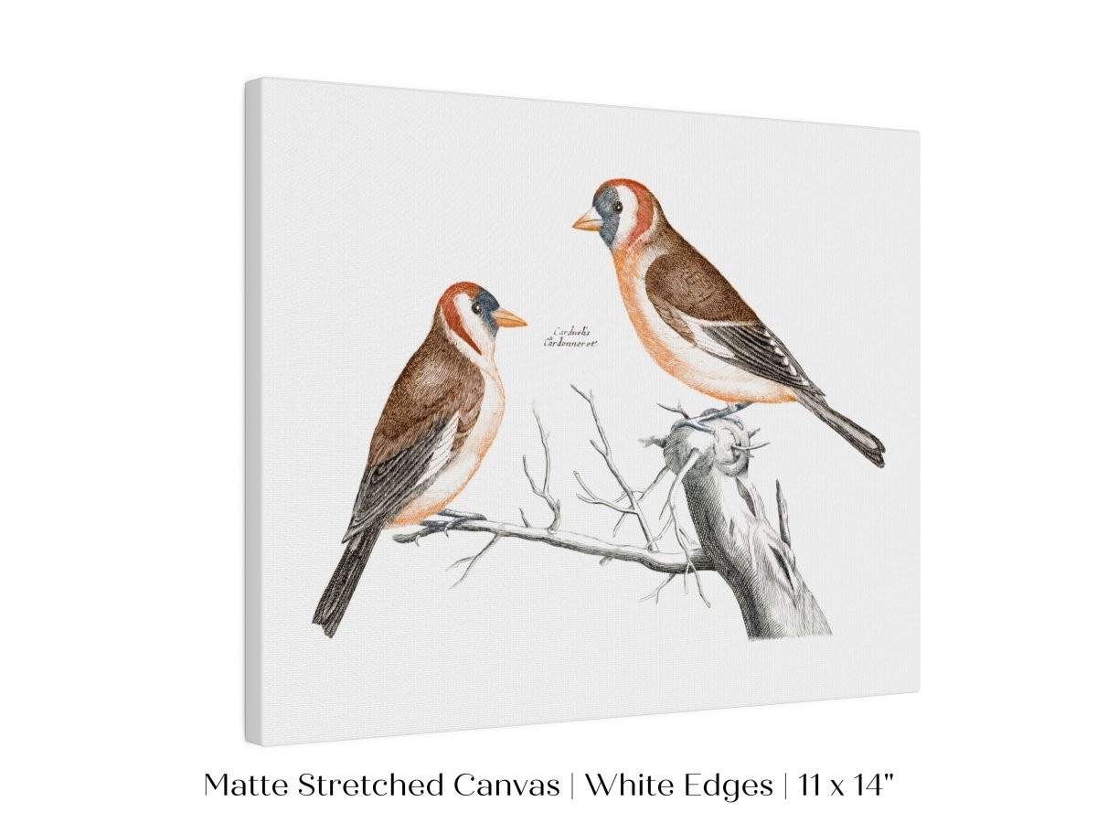 Goldfinches Illustration | P78 - Single Art Prints - Piccolo Fiore Prints