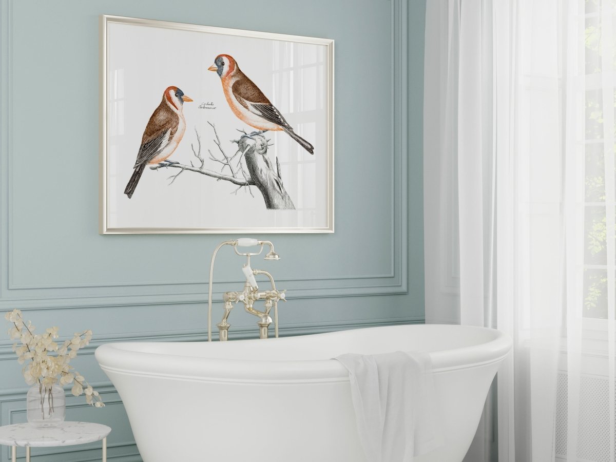 Goldfinches Illustration | P78 - Single Art Prints - Piccolo Fiore Prints