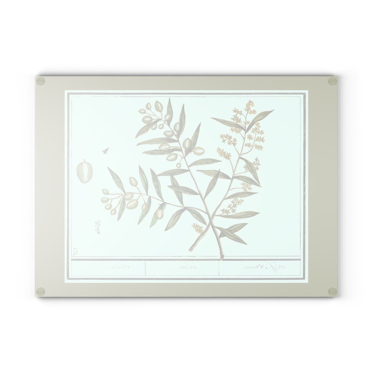 Green Olives | Glass Chopping Board - Glass Chopping Board - Piccolo Fiore Prints