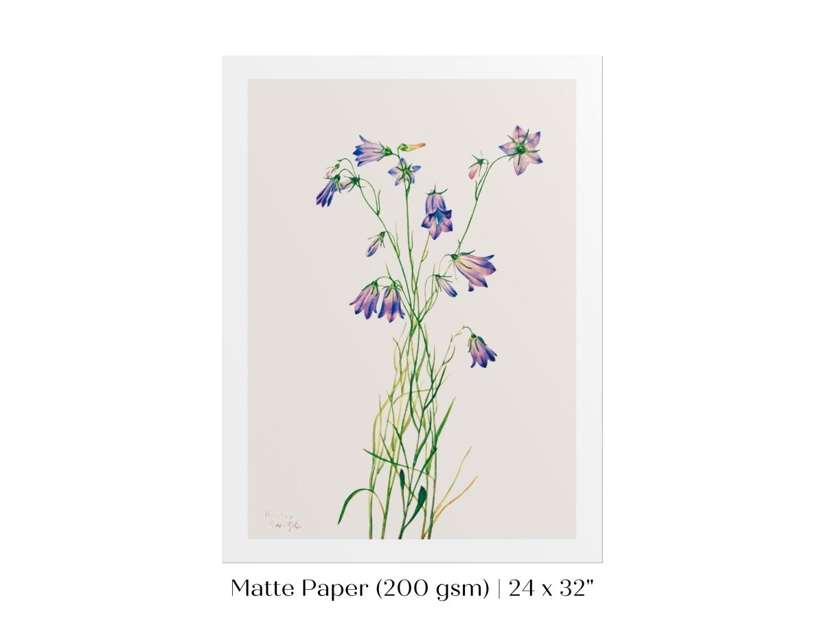Harebell Illustration | P277 - Single Art Prints - Piccolo Fiore Prints