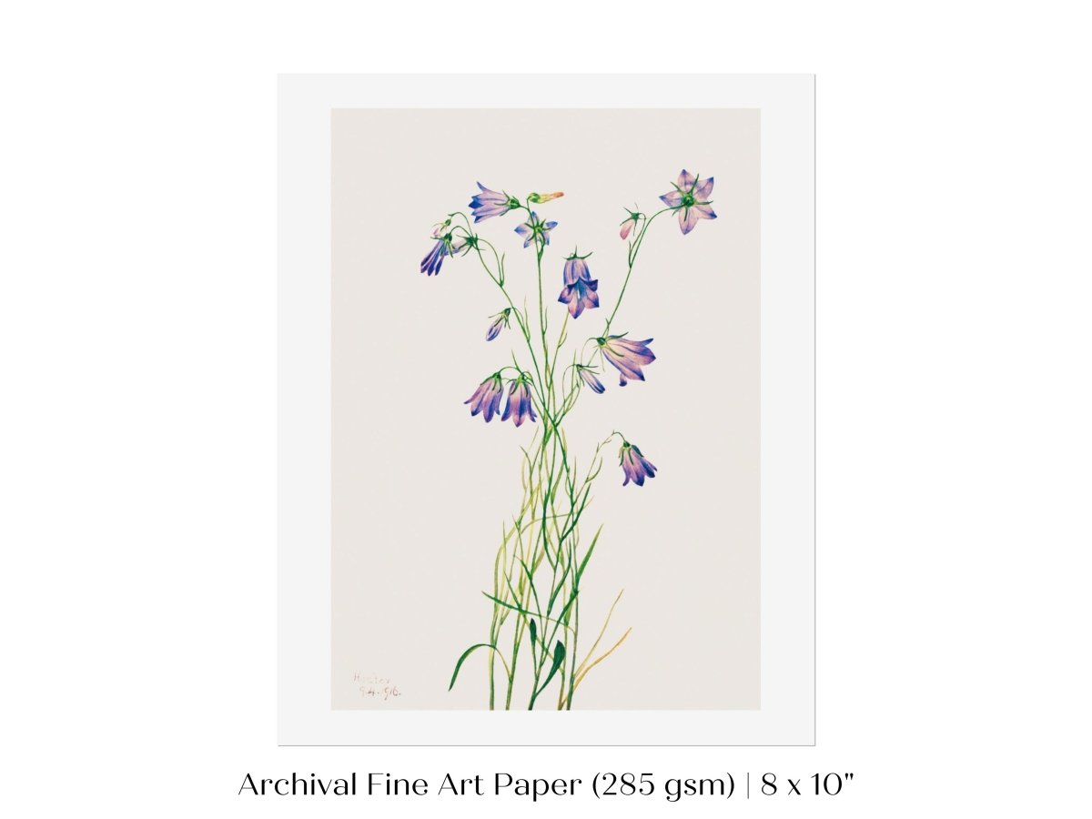 Harebell Illustration | P277 - Single Art Prints - Piccolo Fiore Prints