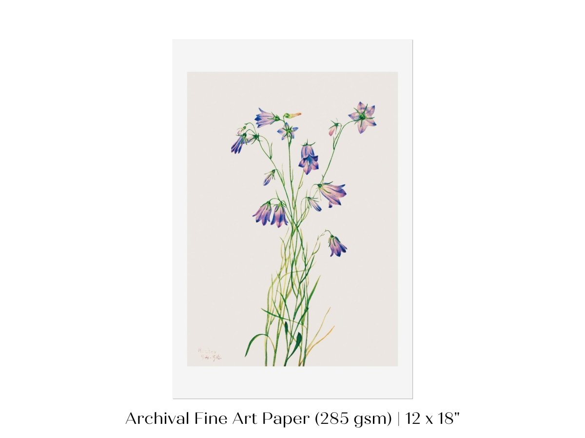 Harebell Illustration | P277 - Single Art Prints - Piccolo Fiore Prints