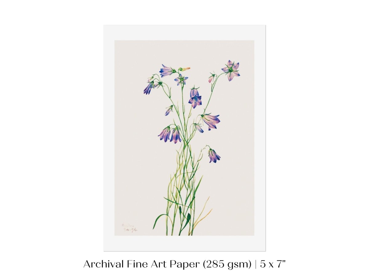 Harebell Illustration | P277 - Single Art Prints - Piccolo Fiore Prints