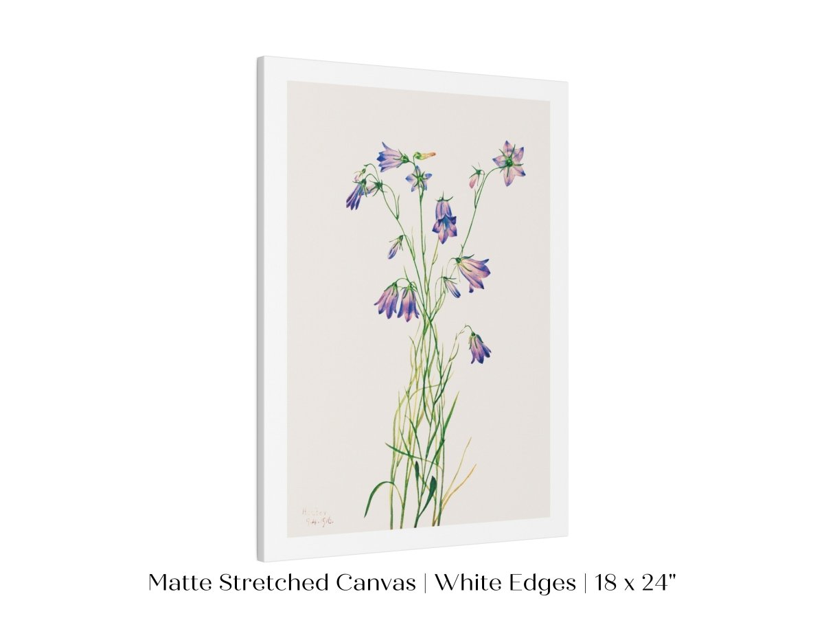 Harebell Illustration | P277 - Single Art Prints - Piccolo Fiore Prints